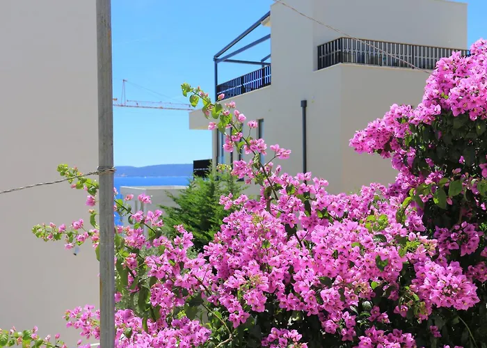 Apartament Businci 11232c