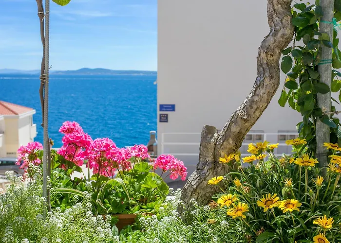 Businci 11232c Apartament *