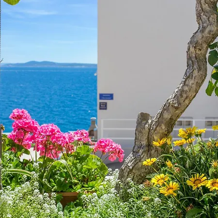 Businci 11232c Daire *